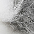 M/GREY