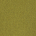 MOSS GREEN