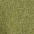 MOSS GREEN