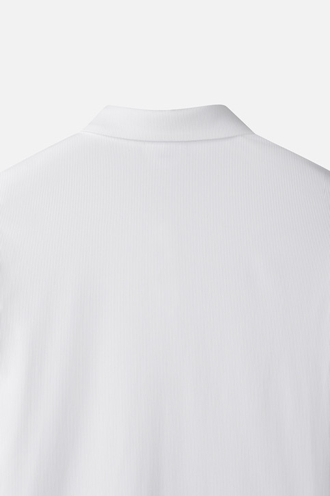 WOMEN BASIC COLLAR LONG SLEEVE