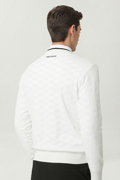 MEN JACQUARD ROUND NECK SWEATER